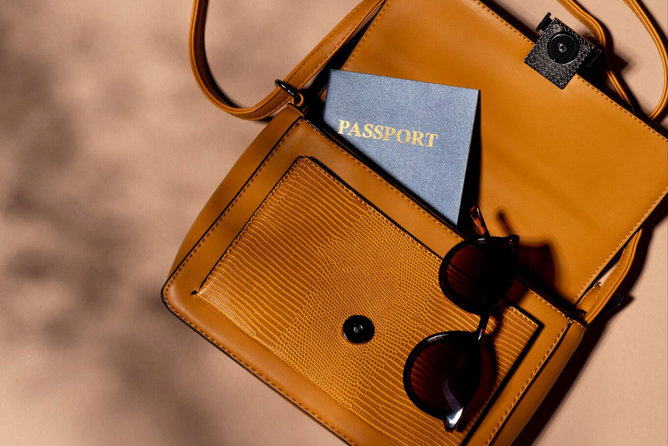 Leather pass port Carry Case